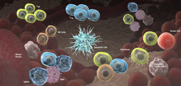 Image of immunotherapy discovery visual shows Incyte’s discovery capabilities based on small molecule and monoclonal and bispecific antibody modalities open distinct opportunities to target diverse mechanisms, including: IDO1, JAK, PI3Kδ, GITR, OX40, TIM-3 and LAG-3.
